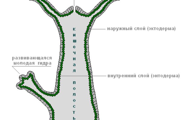 Как зайти на кракен через тор браузер