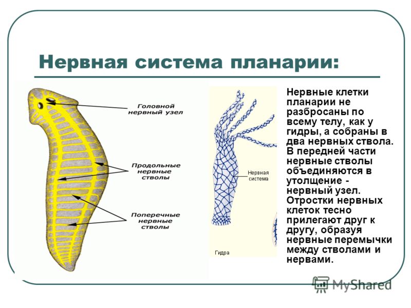 Кракен ссылка onion