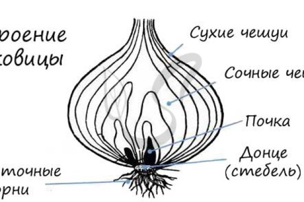 Ссылка на кракен не работает